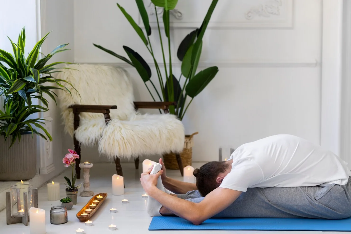 Recovery & Wellness